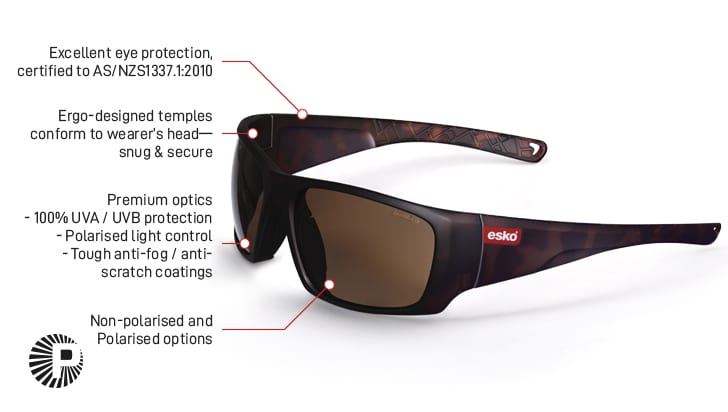 Polarised Destination Spec, Bronze