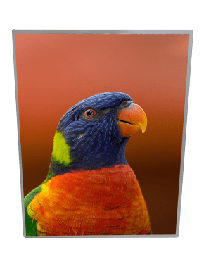 Light Boxes -Slimline Light Box A4